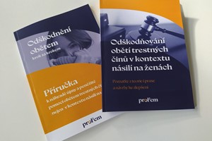 Odškodňování obětí trestních činů v kontextu násilí na ženách