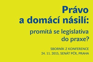 Právo a domácí násilí: promítá se legislativa do praxe?